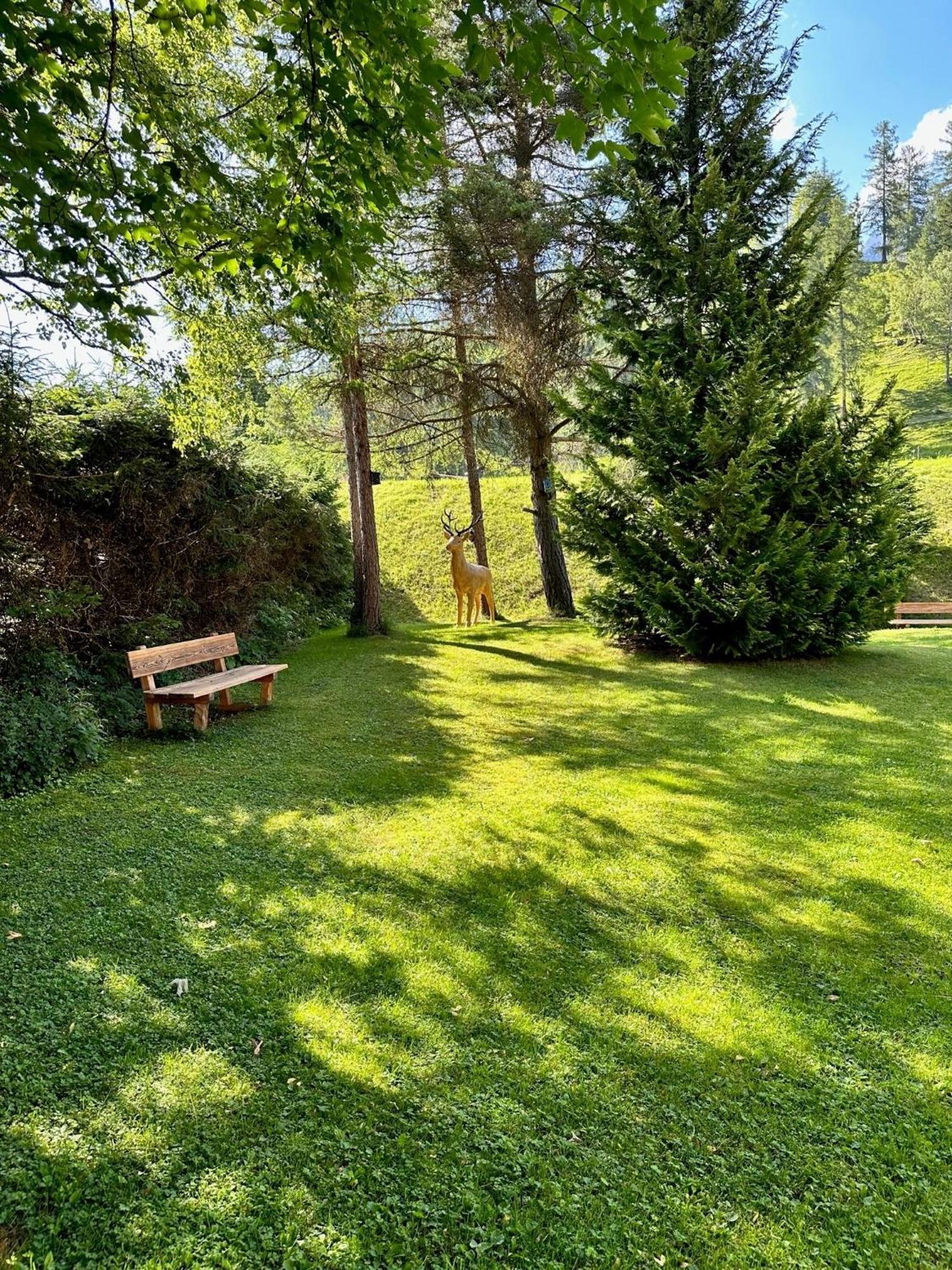 W5 Haus Ganghofer Appartement Leutasch Buitenkant foto