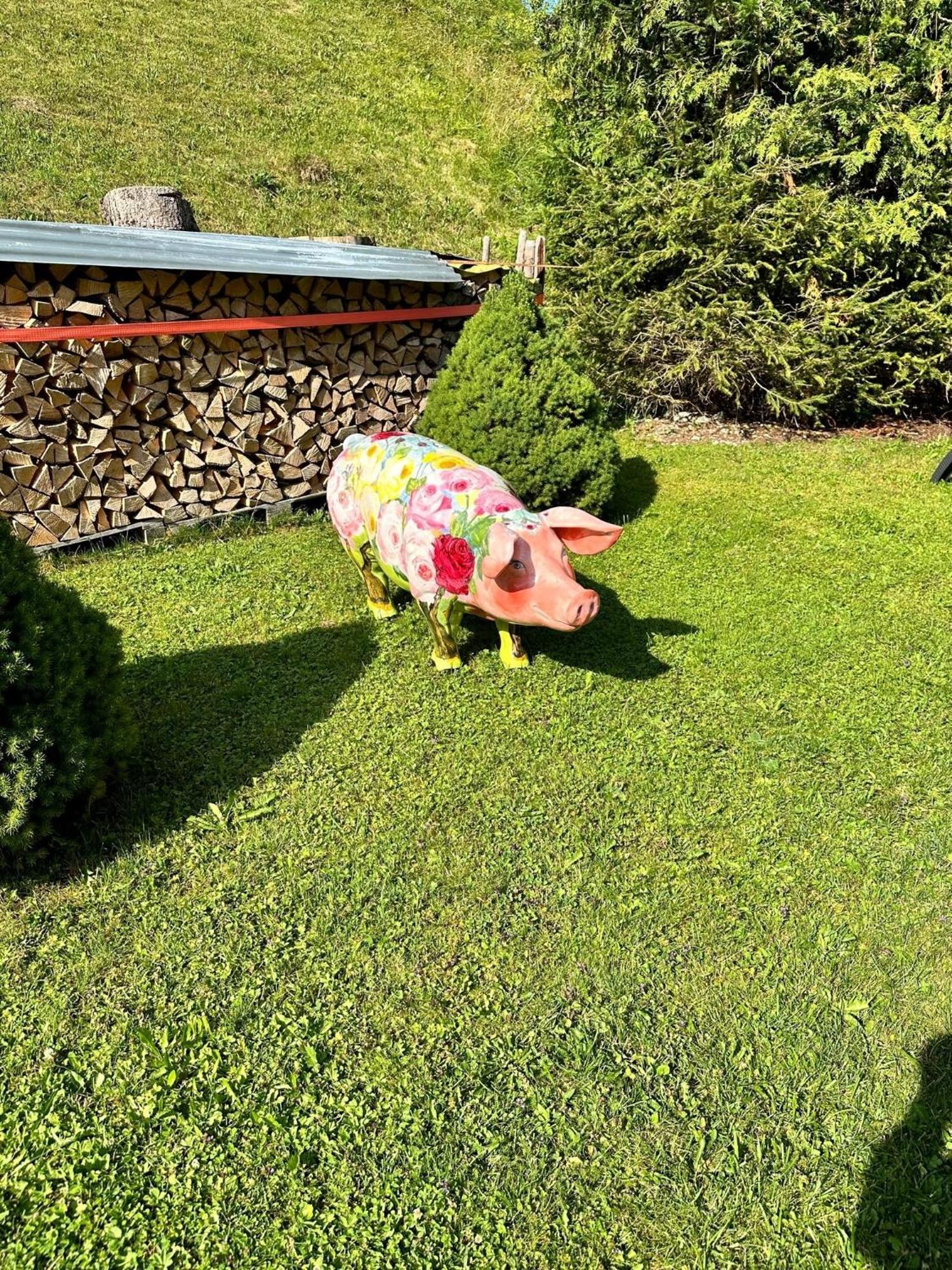 W5 Haus Ganghofer Appartement Leutasch Buitenkant foto